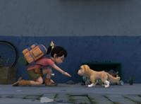 熊出没：五个妈妈不想让小孩子看的镜头，赵琳不能模仿的行为！