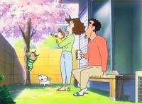 童年动漫《蜡笔小新》，用蜡笔小新一家看遍温馨的春夏秋冬