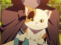 你最想养哪一只？日本动漫中萌化人心的十大“宠物”盘点