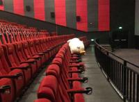 亲历电影院上座率上升50%：电影院从此就好起来了吗
