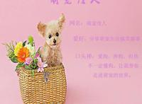 保养车时捡到的三只流浪狗，睁眼后才发现个个都是会动的表情包