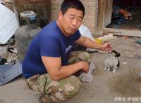 三只流浪狗只是剩一只，送货大叔决定带回看家，得知是边牧很开心