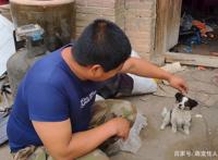 三只流浪狗只是剩一只，送货大叔决定带回看家，得知是边牧很开心