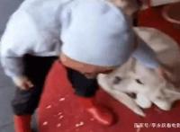 三只流浪狗蜷缩在商店门口睡觉，路过的小女孩看到后……