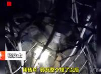 气愤！兰州一高校保安活埋三只奶狗，疑流浪狗伤人有关，现场揪心