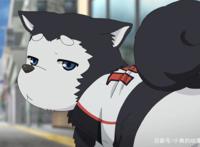 盘点动漫中看了就想养的动物，每个都可爱到爆，二哈版夜煞上榜！