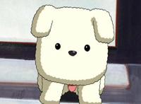 萌犬伴身旁动漫作品十大萌犬盘点