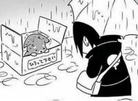 火影小漫画：佐助和鼬收养了一只流浪狗，还和它一起睡觉，超暖心