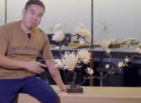 鱼骨手工火了！DIY大佬用十万块鱼骨做出“手办”，一朵花用16条鱼