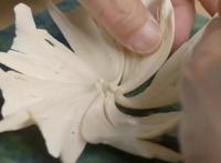 鱼骨手工火了！DIY大佬用十万块鱼骨做出“手办”，一朵花用16条鱼