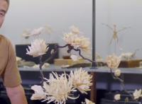 鱼骨手工火了！DIY大佬用十万块鱼骨做出“手办”，一朵花用16条鱼