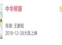 中楚汉秀：《中华熊猫》定档12·28，熊猫不仅会功夫，也会医术