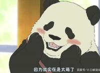 熊猫什么最可爱了，动漫好萌物，国宝大搜寻