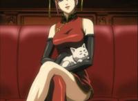 当功夫熊猫“全员拟人”，中国古风太有味道了，沈王爷太邪魅了