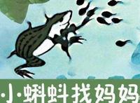 盘点90后童年国产动漫你看过几部？