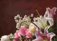 《伦敦一家人》观影感