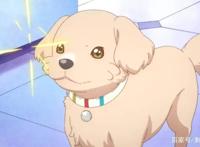 新番点评：三丽鸥企划之甜梦猫