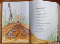 暑假作业出现昆虫类题目，孩子看都不要看就拒绝？这样处理就对了