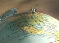 昆虫的夏天！如此奇妙的微观世界大狂欢