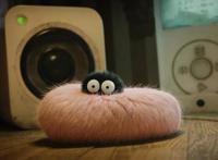 昆虫总动员，高清壁纸合集