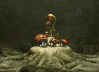 昆虫总动员，高清壁纸合集