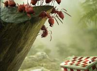 《昆虫总动员》让你热泪盈眶的小生命，是一部有教育意义的好动画