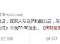 《我就是演员》停播！于正难辞其咎，曾被上百名编剧导演联合抵制