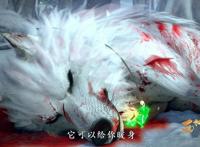 西行纪第一集你还记得吗？这两处细节大赞，另一处细节却忽略掉了