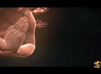 西行纪：再见悟空，大圣归来