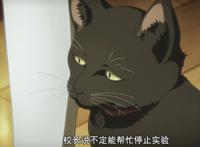 全员恶玉第7话分析：内鬼浮出水面，双胞胎的秘密被公开！