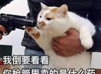 女主出场两分钟就去世？这部十月新番的骚操作简直是闻所未闻！