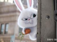 盘点电影里那些贱萌贱萌的动物形象