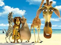 马达加斯加：从鲁莽的狮子身上，我们能看到勇往直前的品格