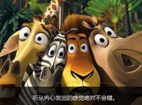 马达加斯加：从鲁莽的狮子身上，我们能看到勇往直前的品格