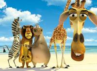 代表生态动漫，走进生命自然，马达加斯加岛上发生了什么