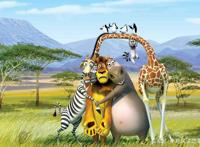 代表生态动漫，走进生命自然，马达加斯加岛上发生了什么