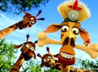 代表生态动漫，走进生命自然，马达加斯加岛上发生了什么