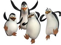 为何马达加斯加没有企鹅而赤道上却有？因为寒流和暖流的不同作用