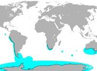 为何马达加斯加没有企鹅而赤道上却有？因为寒流和暖流的不同作用