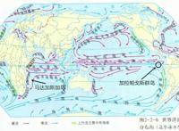 为何马达加斯加没有企鹅而赤道上却有？因为寒流和暖流的不同作用