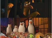 马达加斯加的企鹅：肩负责任与勇气，菜鸟也可以是重要角色