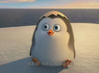 《马达加斯加的企鹅》：菜鸟逆袭记，成功并非外表，而是做了什么