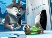 马达加斯加的企鹅，一群小可爱，充满童心的回忆！