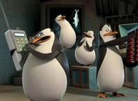 对于95后而言,堪比银魂,致敬玩梗,四只来自马达加斯加的企鹅