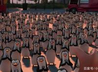 小羽影视汇：《马达加斯加爆走企鹅》这是动画电影史上罕见的爽片