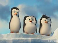 马达加斯加的企鹅——四个铁憨憨的冒险之旅