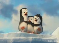 马达加斯加的企鹅——四个铁憨憨的冒险之旅