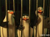 《马达加斯加暴走企鹅》这绝对是动画电影史罕见的警匪动作爽片