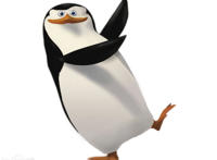 《马达加斯加的企鹅第一季》都有哪些可爱的角色？