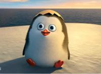 《马达加斯加的企鹅第一季》都有哪些可爱的角色？